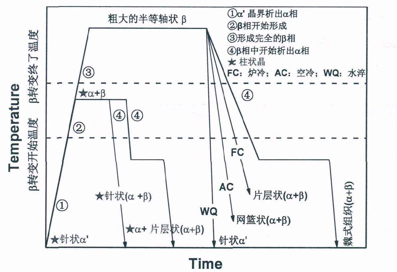 热处理工艺对SLM成形的  Ti-6A1-4V合金的显微组织的影响,(这家伙写了一百七十多页,都比上一本书了!)